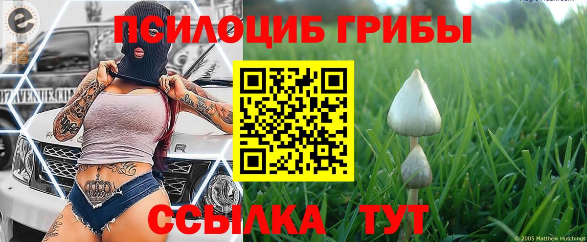 Псилоцибиновые грибы прущие грибы Майкоп